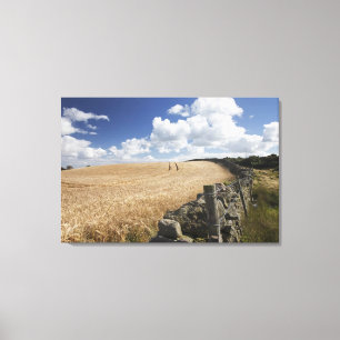 A Barbed Wire Fence Built Along A Stone Fence Canvas Print