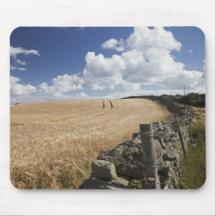 A Barbed Wire Fence Built Along A Stone Fence Mouse Pad