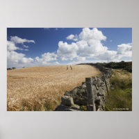 A Barbed Wire Fence Built Along A Stone Fence