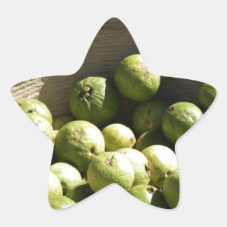 A basket full of guavas star sticker