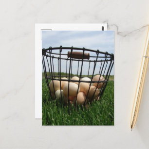 A Basket of Farm Fresh Eggs in the Grass Postcard