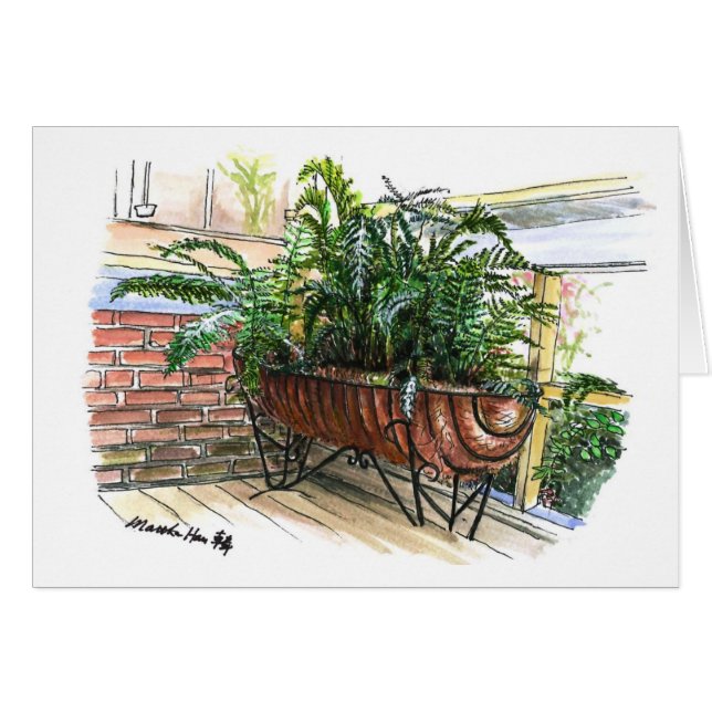 A basket of ferns (Front Horizontal)