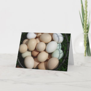 A Basketful of Colourful Chicken Eggs Still Life Card