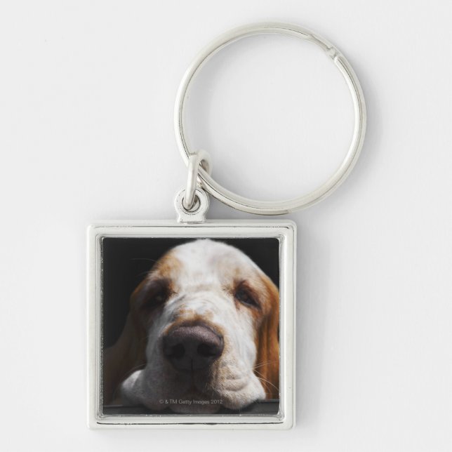 A Basset Hound resting his head Key Ring (Front)