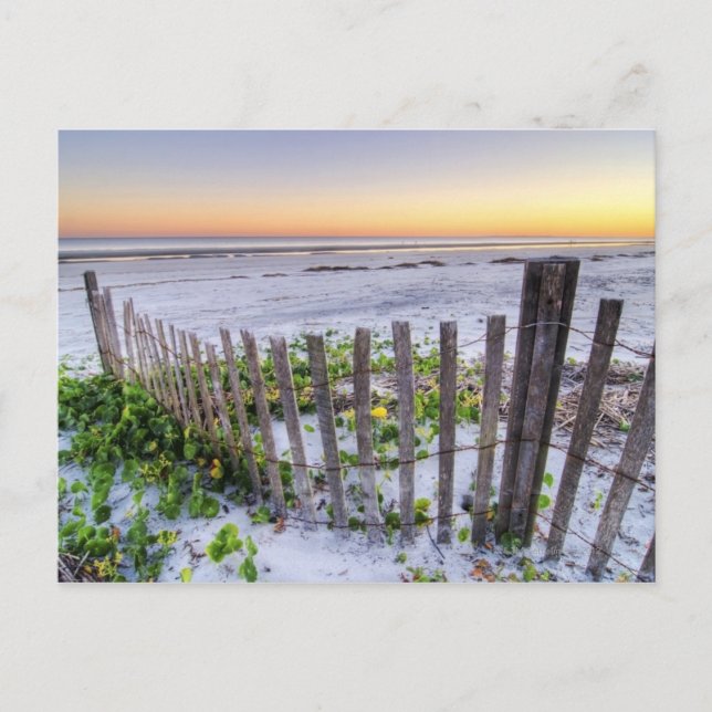 A Beach Fence at Sunset Postcard (Front)