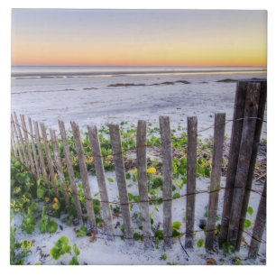 A Beach Fence at Sunset Tile