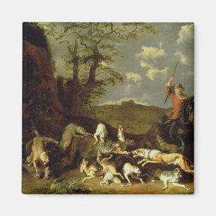 A Bear Hunt, 1655 Magnet