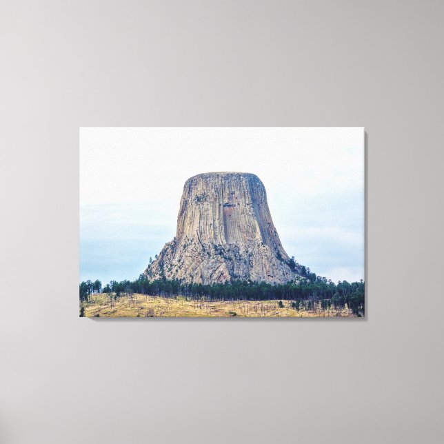 A Bear's Home Canvas Print (Front)
