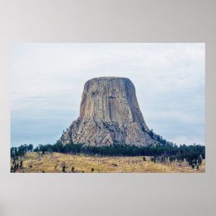 A Bear's Home Poster