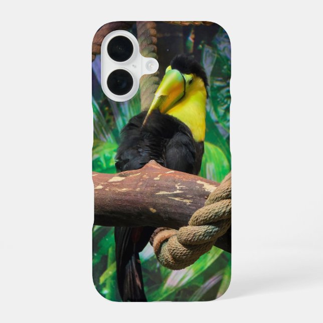 a beautiful black and yellow Toucan  iPhone 16 Case (Back)