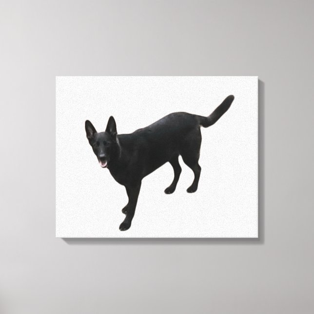 A beautiful black German Shepherd  Canvas Print (Front)