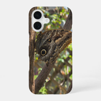 a beautiful brown butterfly iPhone 16 case