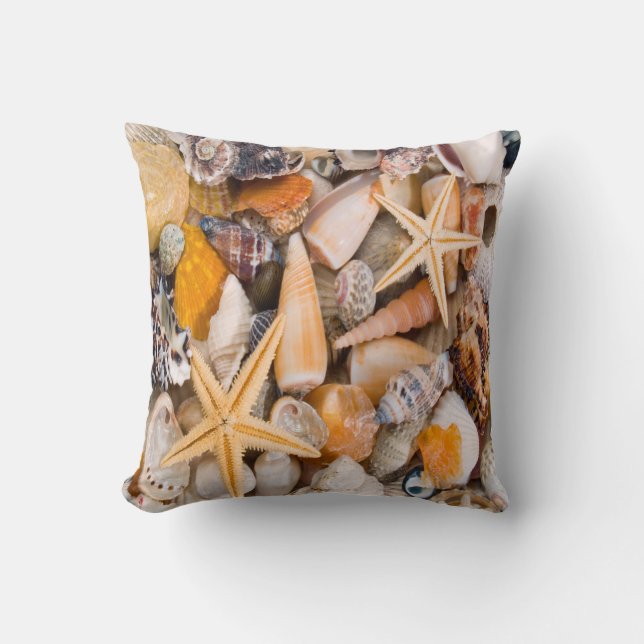 A Beautiful Collection of Seashells on a Cushion. Cushion (Front)