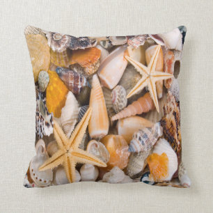 A Beautiful Collection of Seashells on a Cushion. Cushion
