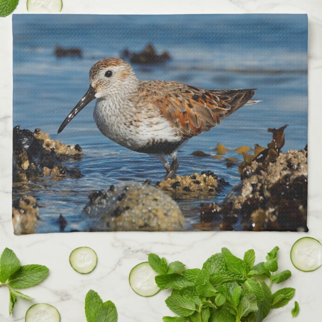 A Beautiful Dunlin Goes Solo Tea Towel (Folded)