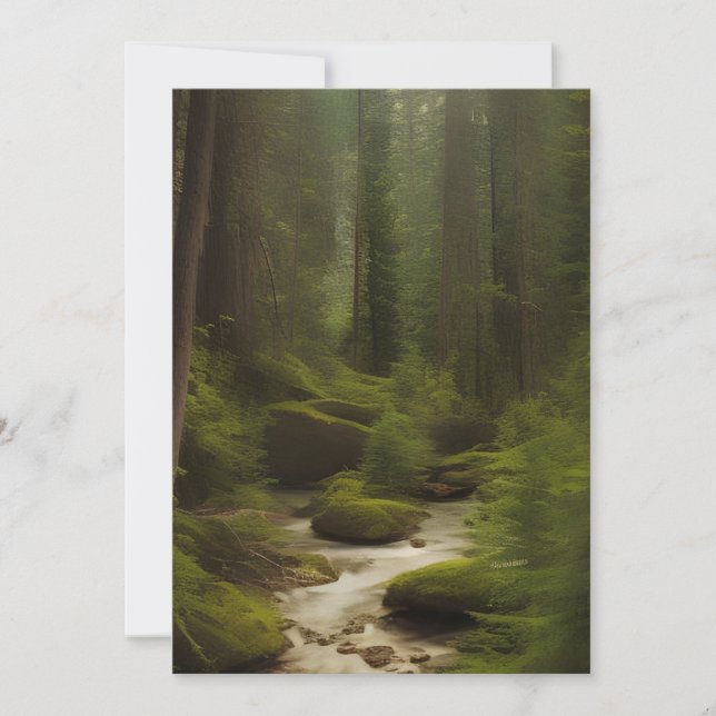 A Beautiful Forest Stream  Card (Front)