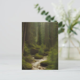 A Beautiful Forest Stream Postcard