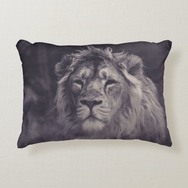 A BEAUTIFUL LION AT PARKEN ZOO SWEDEN DECORATIVE CUSHION (Front)