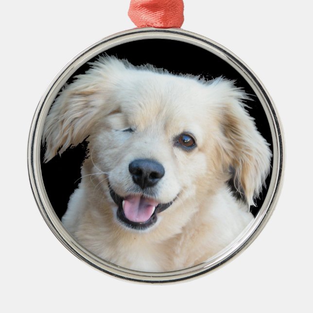 A beautiful one eyed dog. metal tree decoration (Front)