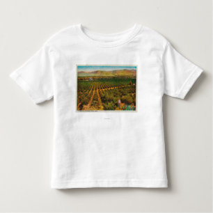 A Beautiful Orange GroveState Toddler T-Shirt