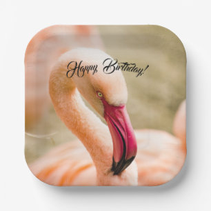 A Beautiful Pink Flamingo Birthday Paper Plate
