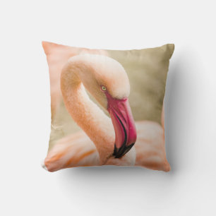 A Beautiful Pink Flamingo Cushion