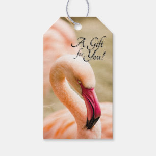 A Beautiful Pink Flamingo Gift Tags