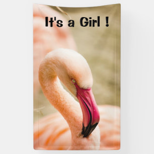 A Beautiful Pink Flamingo Its a Girl Banner