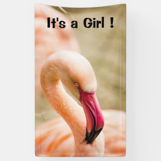 A Beautiful Pink Flamingo Its a Girl Banner