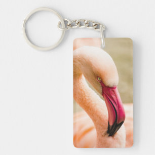 A Beautiful Pink Flamingo Key Ring