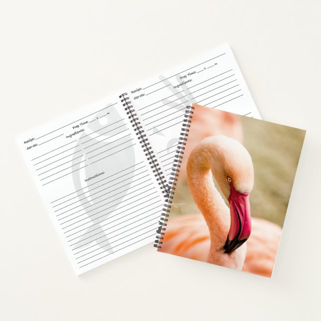 A Beautiful Pink Flamingo  Notebook (Inside)