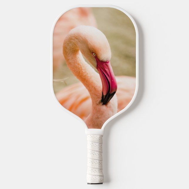 A Beautiful Pink Flamingo  Pickleball Paddle (Front)