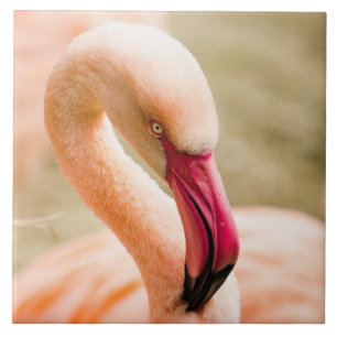 A Beautiful Pink Flamingo Tile