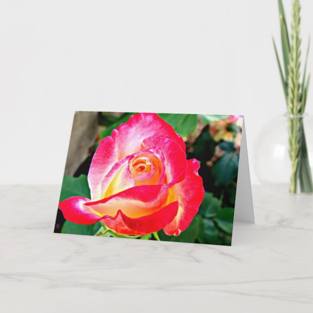 A Beautiful Rose Greeting Card (Front)
