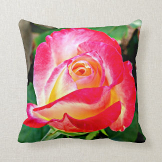A Beautiful Rose Pillow