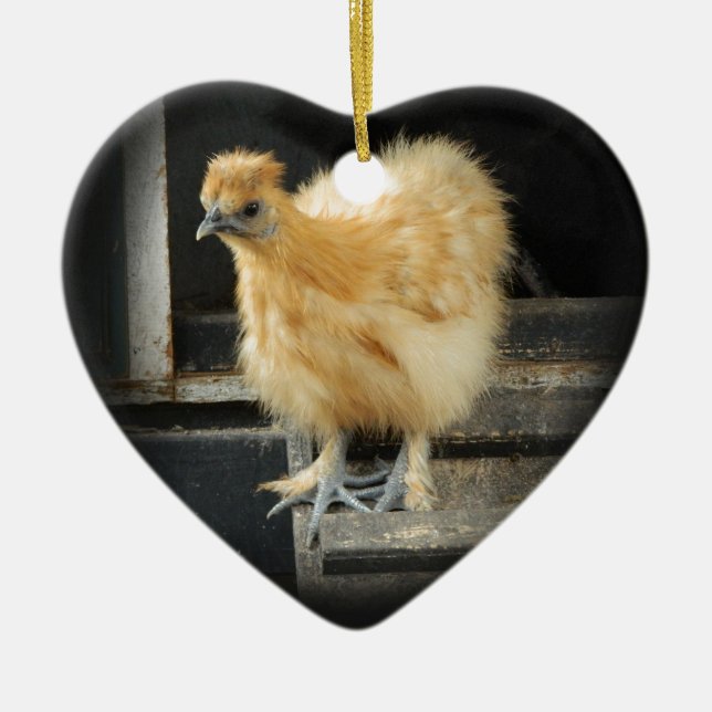 a beautiful Silkie Bantam Chicken picture. Ceramic Tree Decoration (Front)