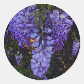 a beautiful touch of nature classic round sticker
