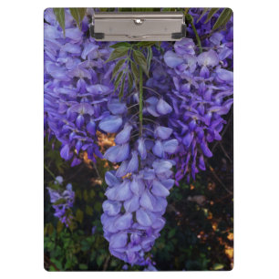a beautiful touch of nature clipboard