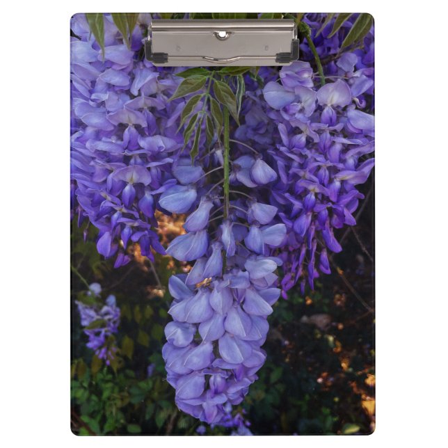 a beautiful touch of nature  clipboard (Front)
