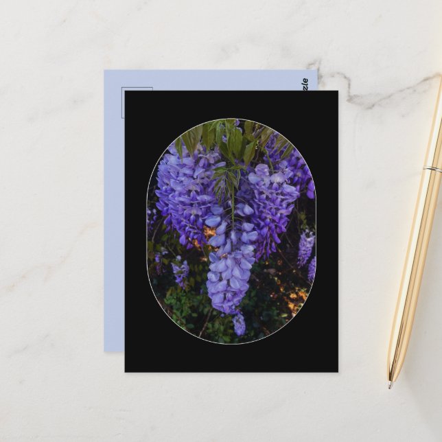 a beautiful touch of nature  postcard (Front/Back In Situ)