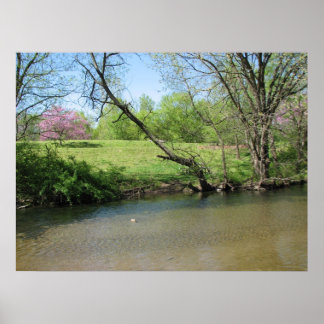 A Beautiful View of the River Poster
