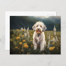 A beautiful white dog