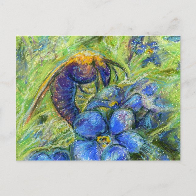 A Bee & Forget-me-not Flowers Postcard (Front)