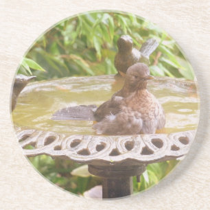 A Bird In The Bath Coaster