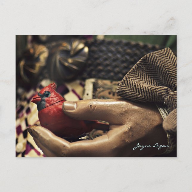 A Bird in the Hand, Postcard (Digital Colour Photo (Front)
