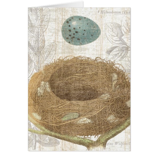 A Bird's Nest with a Decorative Egg (Front)