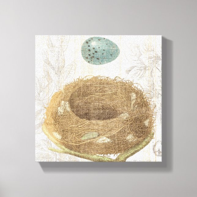 A Bird's Nest with a Decorative Egg Canvas Print (Front)