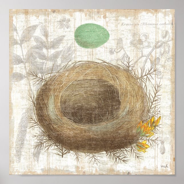A Bird's Nest with a Green Egg Poster (Front)