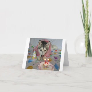 A Birthday Card featuring an adorable dog