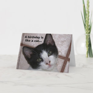 A birthday is like a cat... card